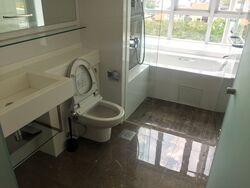 One Amber (D15), Condominium #336314711